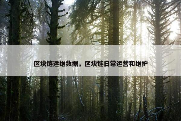 区块链运维数据，区块链日常运营和维护