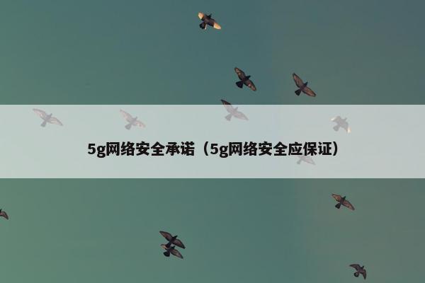5g网络安全承诺（5g网络安全应保证）