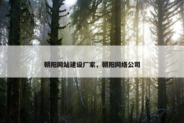 朝阳网站建设厂家，朝阳网络公司