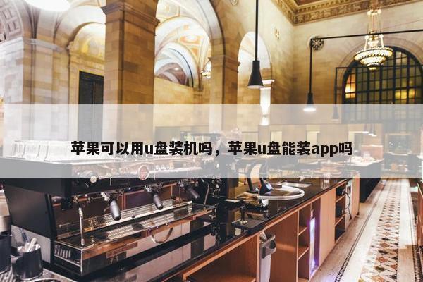 苹果可以用u盘装机吗，苹果u盘能装app吗