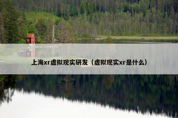 上海xr虚拟现实研发（虚拟现实xr是什么）