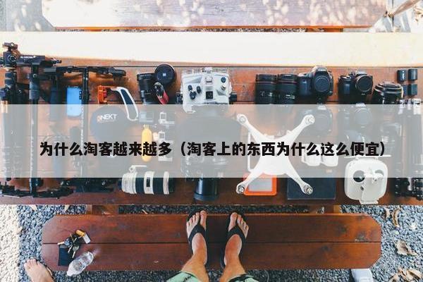 为什么淘客越来越多（淘客上的东西为什么这么便宜）