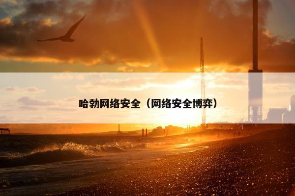 哈勃网络安全（网络安全博弈）