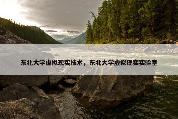 东北大学虚拟现实技术，东北大学虚拟现实实验室