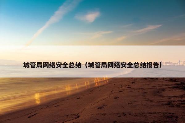 城管局网络安全总结（城管局网络安全总结报告）