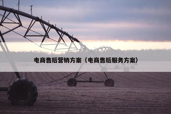 电商售后营销方案(电商售后服务方案) 电商售后营销方案(电商售后服务方案)