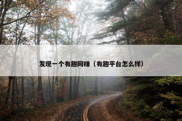 发现一个有趣网赚（有趣平台怎么样）