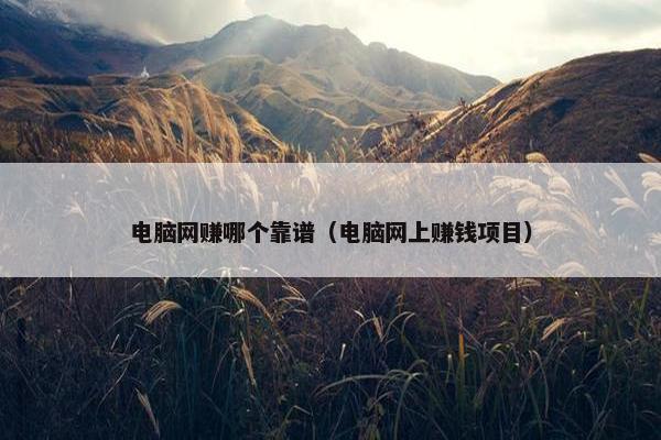电脑网赚哪个靠谱（电脑网上赚钱项目）