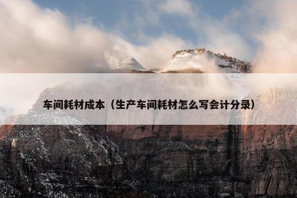 车间耗材成本（生产车间耗材怎么写会计分录）