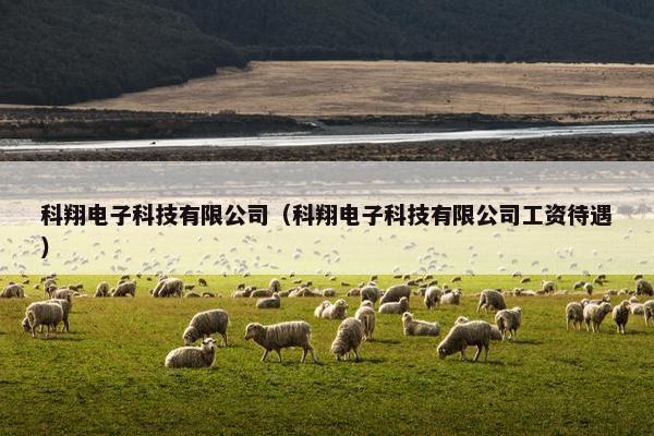 科翔电子科技有限公司（科翔电子科技有限公司工资待遇）