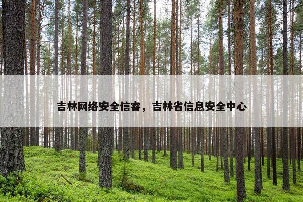 吉林网络安全信睿，吉林省信息安全中心