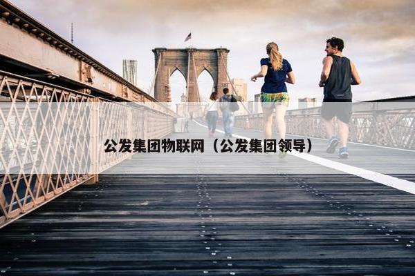 公发集团物联网（公发集团领导）