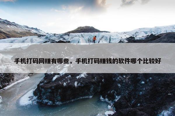 手机打码网赚有哪些，手机打码赚钱的软件哪个比较好