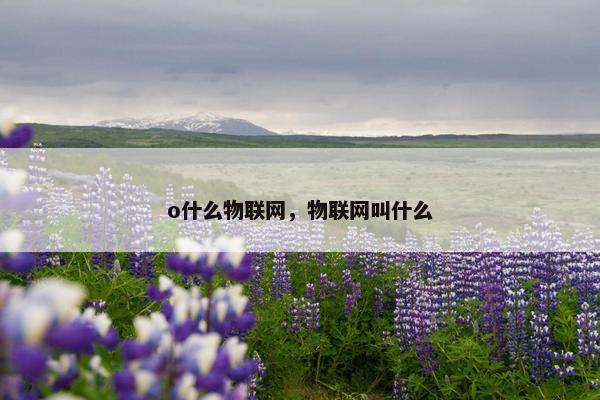 o什么物联网，物联网叫什么