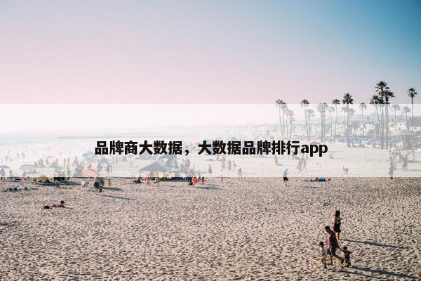品牌商大数据，大数据品牌排行app