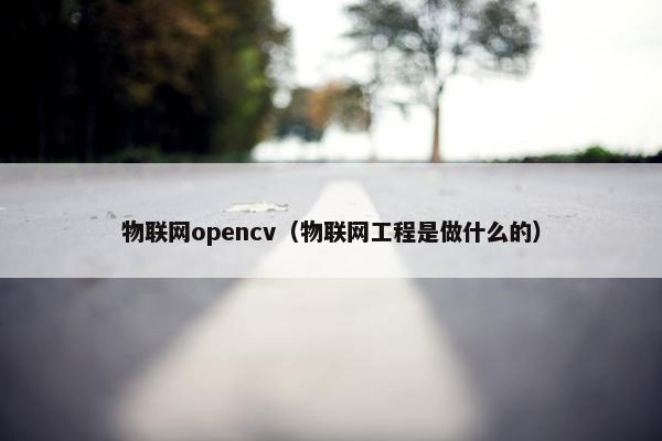 物联网opencv（物联网工程是做什么的）