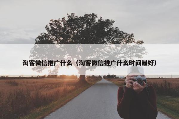淘客微信推广什么（淘客微信推广什么时间最好）