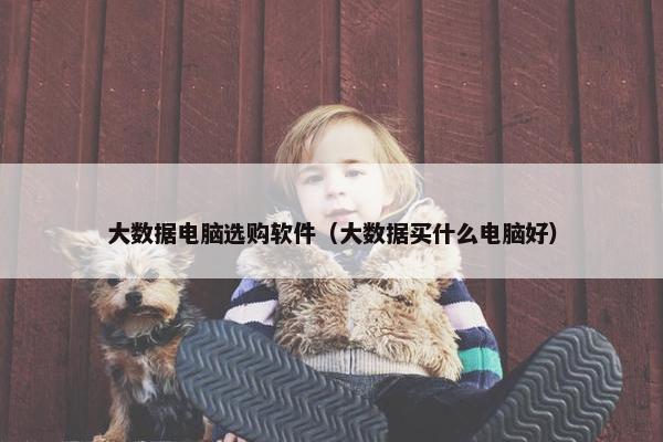 大数据电脑选购软件（大数据买什么电脑好）