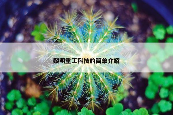 黎明重工科技的简单介绍