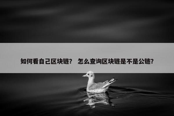 如何看自己区块链？ 怎么查询区块链是不是公链？