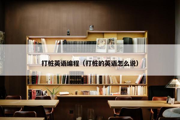 打桩英语编程（打桩的英语怎么说）