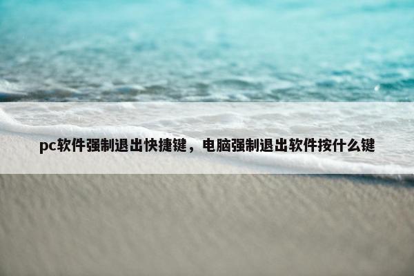 pc软件强制退出快捷键，电脑强制退出软件按什么键