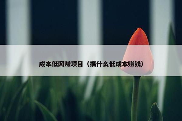成本低网赚项目（搞什么低成本赚钱）