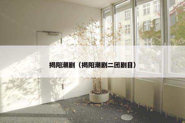 揭阳潮剧（揭阳潮剧二团剧目）