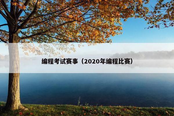 编程考试赛事（2020年编程比赛）