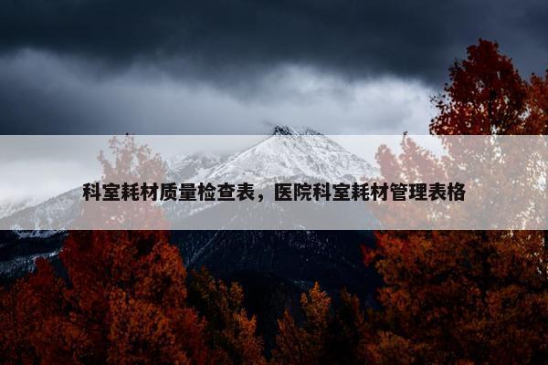 科室耗材质量检查表，医院科室耗材管理表格