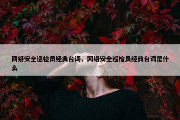 网络安全巡检员经典台词，网络安全巡检员经典台词是什么