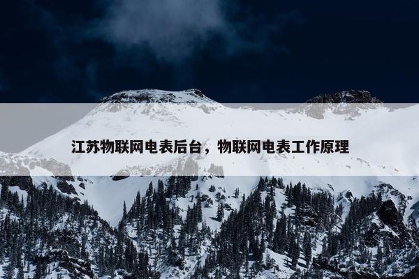 江苏物联网电表后台，物联网电表工作原理