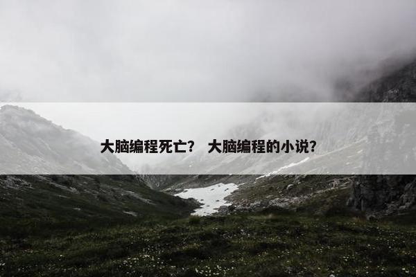 大脑编程死亡？ 大脑编程的小说？