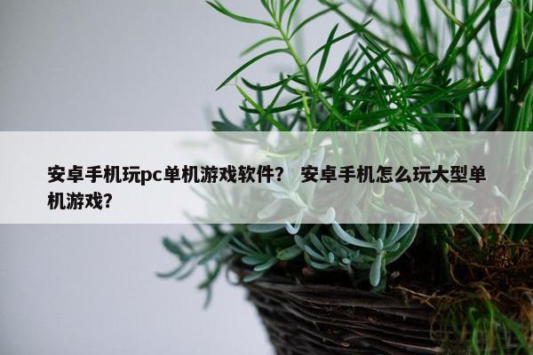 安卓手机玩pc单机游戏软件？ 安卓手机怎么玩大型单机游戏？