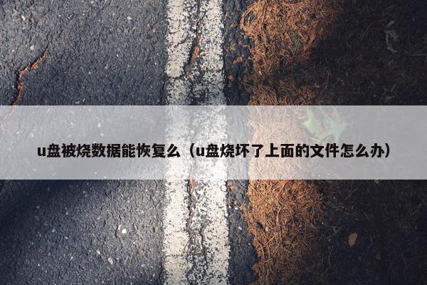 u盘被烧数据能恢复么（u盘烧坏了上面的文件怎么办）