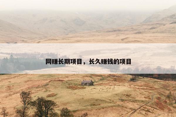 网赚长期项目，长久赚钱的项目
