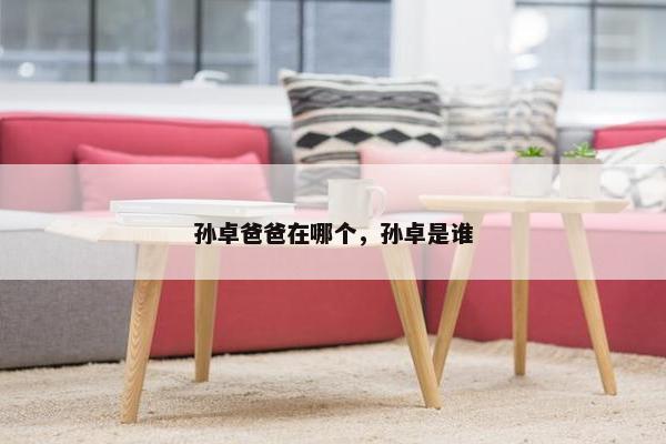 孙卓爸爸在哪个，孙卓是谁
