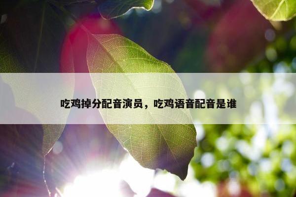 吃鸡掉分配音演员，吃鸡语音配音是谁