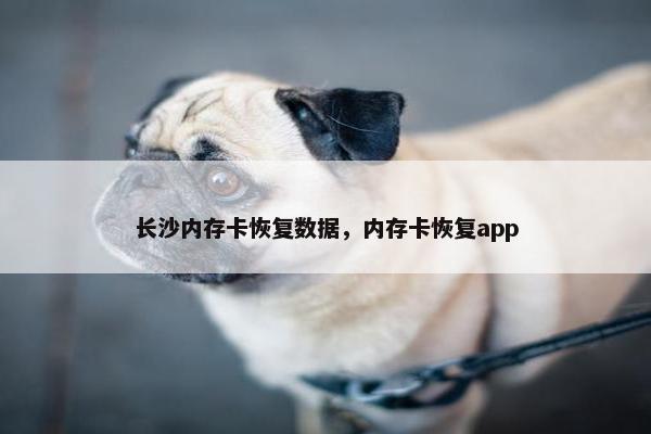 长沙内存卡恢复数据，内存卡恢复app