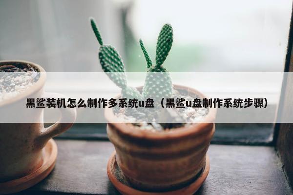 黑鲨装机怎么制作多系统u盘（黑鲨u盘制作系统步骤）
