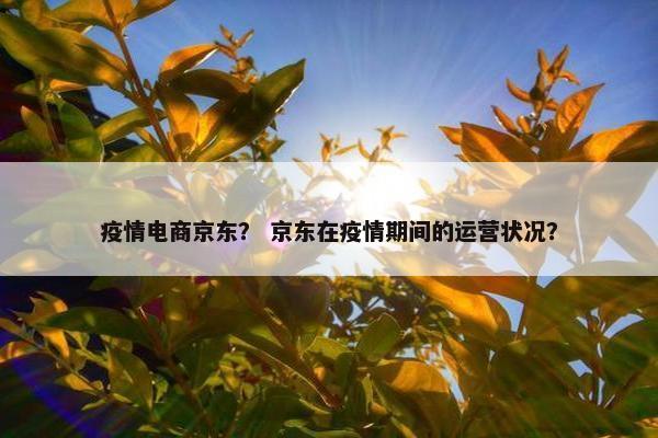 疫情电商京东？ 京东在疫情期间的运营状况？