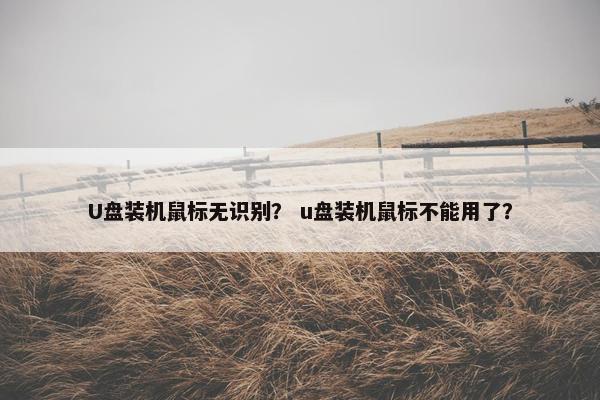 U盘装机鼠标无识别？ u盘装机鼠标不能用了？