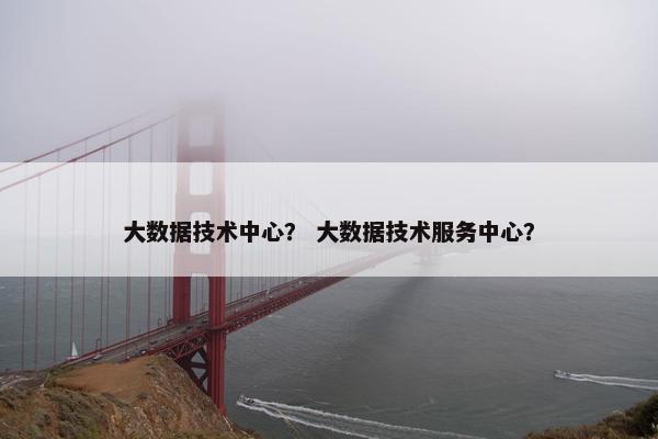 大数据技术中心？ 大数据技术服务中心？