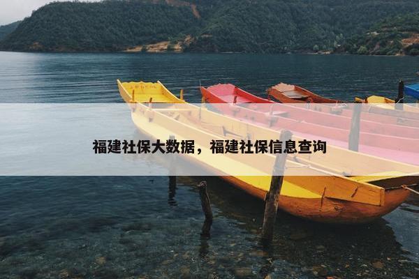 福建社保大数据，福建社保信息查询