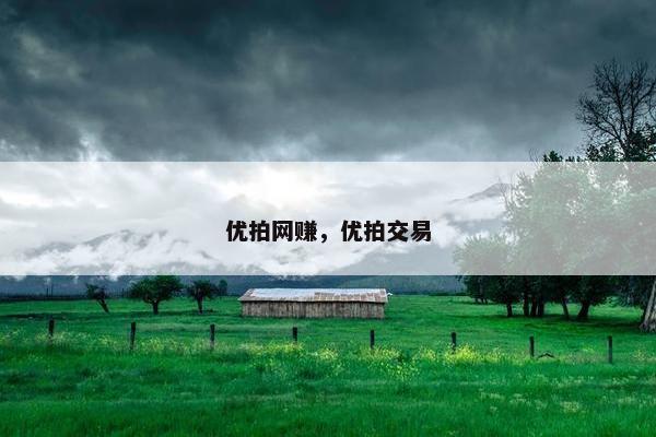 优拍网赚，优拍交易