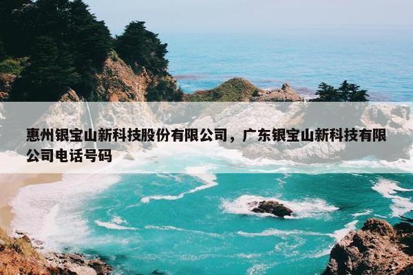 惠州银宝山新科技股份有限公司,广东银宝山新科技有限公司电话号码 惠州银宝山新科技股份有限公司,广东银宝山新科技有限公司电话号码