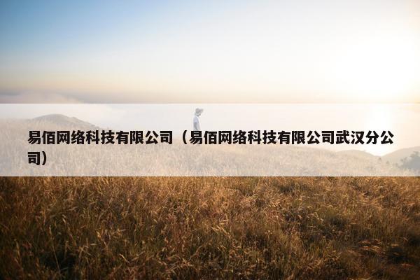易佰网络科技有限公司（易佰网络科技有限公司武汉分公司）