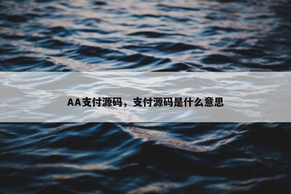 AA支付源码，支付源码是什么意思