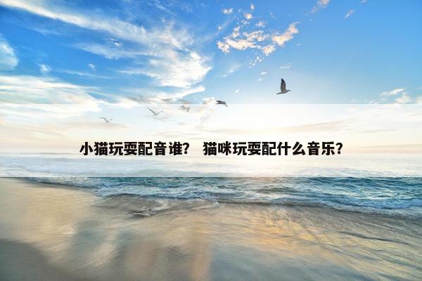 小猫玩耍配音谁？ 猫咪玩耍配什么音乐？