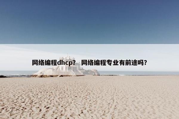 网络编程dhcp？ 网络编程专业有前途吗？